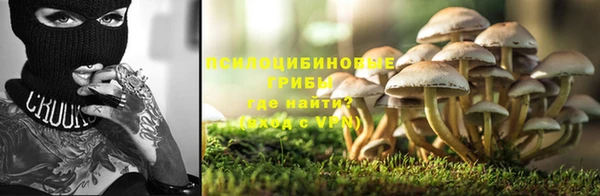 круглые Аркадак