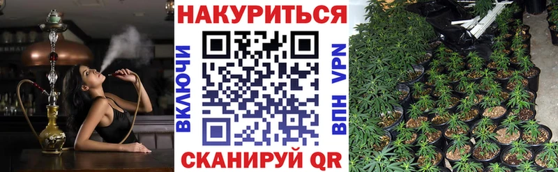 где найти наркотики  гидра сайт  Конопля планчик  Зверево 
